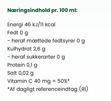 Indlæs billede til gallerivisning VITA BIOSA - INGEFÆR - 500ml / 1000ml / 3 Liter bag-in-box (økologisk drik fermenteret med kulturer af bifido- og mælkesyrebakterier, ekstrakt fra 19 økologiske urter)
